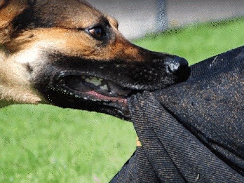 hindi-news-2.jpeg