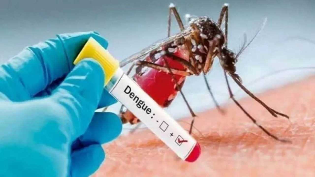 16_09_2024-delhi_dengue_cases_23797668.jpg