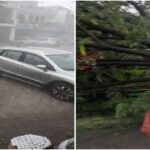 1791534324_hindi-news-10.jpg